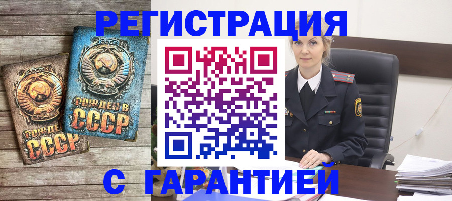 прописка для школы в Курчалом